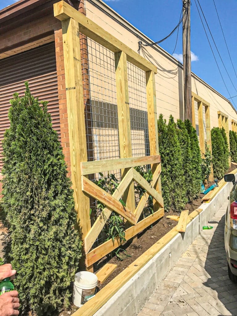 Custom wooden trellis structure with greenery, showcasing outdoor construction work by Home Deck & Fence Co. in Dickson County, Tennessee.
